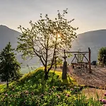 Premium Zirbe * Emberg (Schwaz)