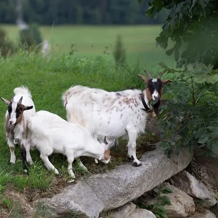 Σπίτι διακοπών Premium Zirbe Emberg (Schwaz)